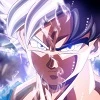 Avatar: DokoMadeMo